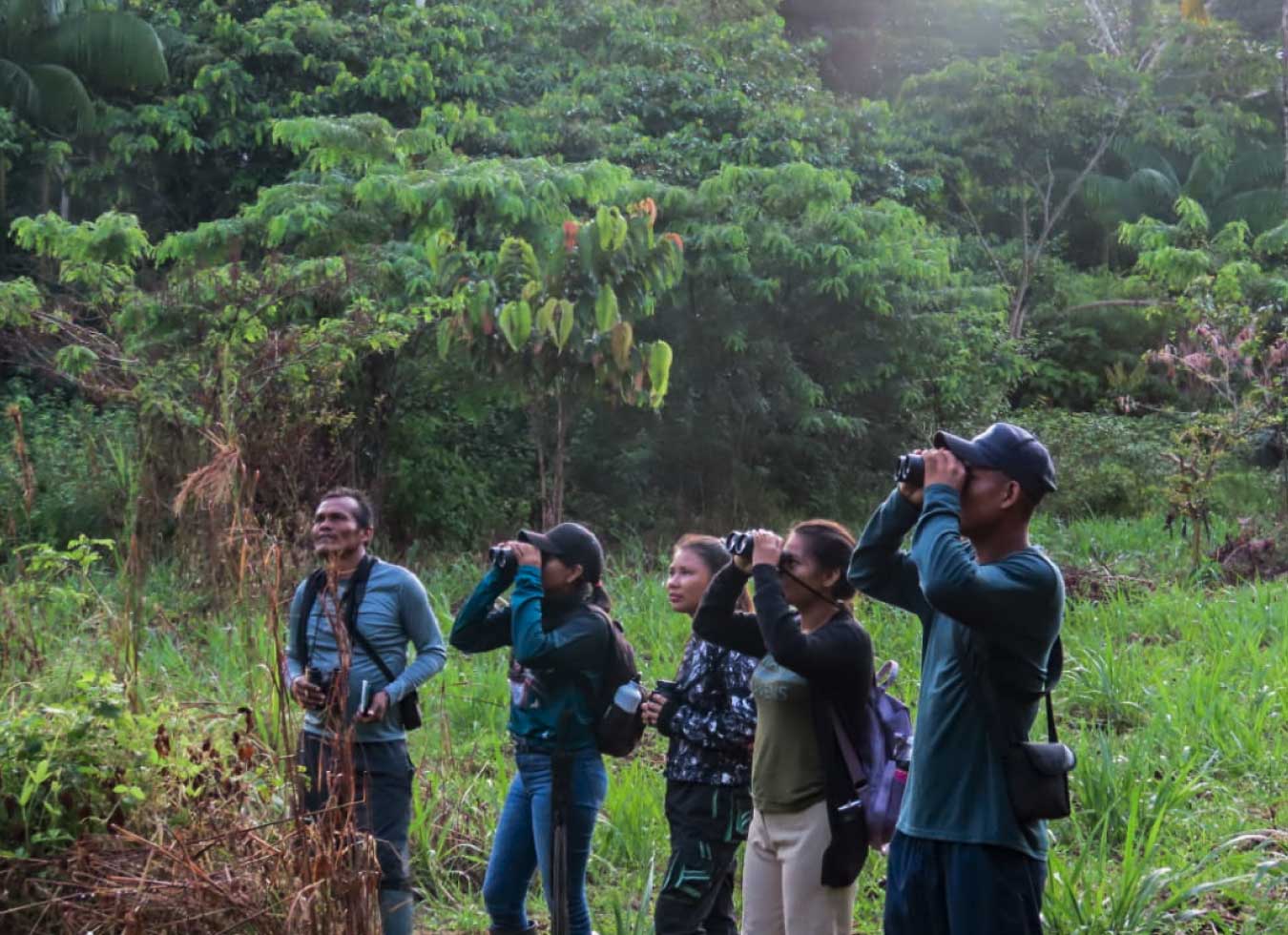 Biodiversity