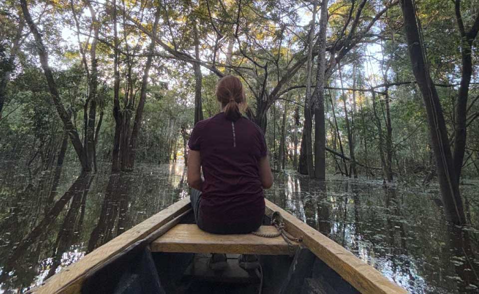 Amazon Jungle